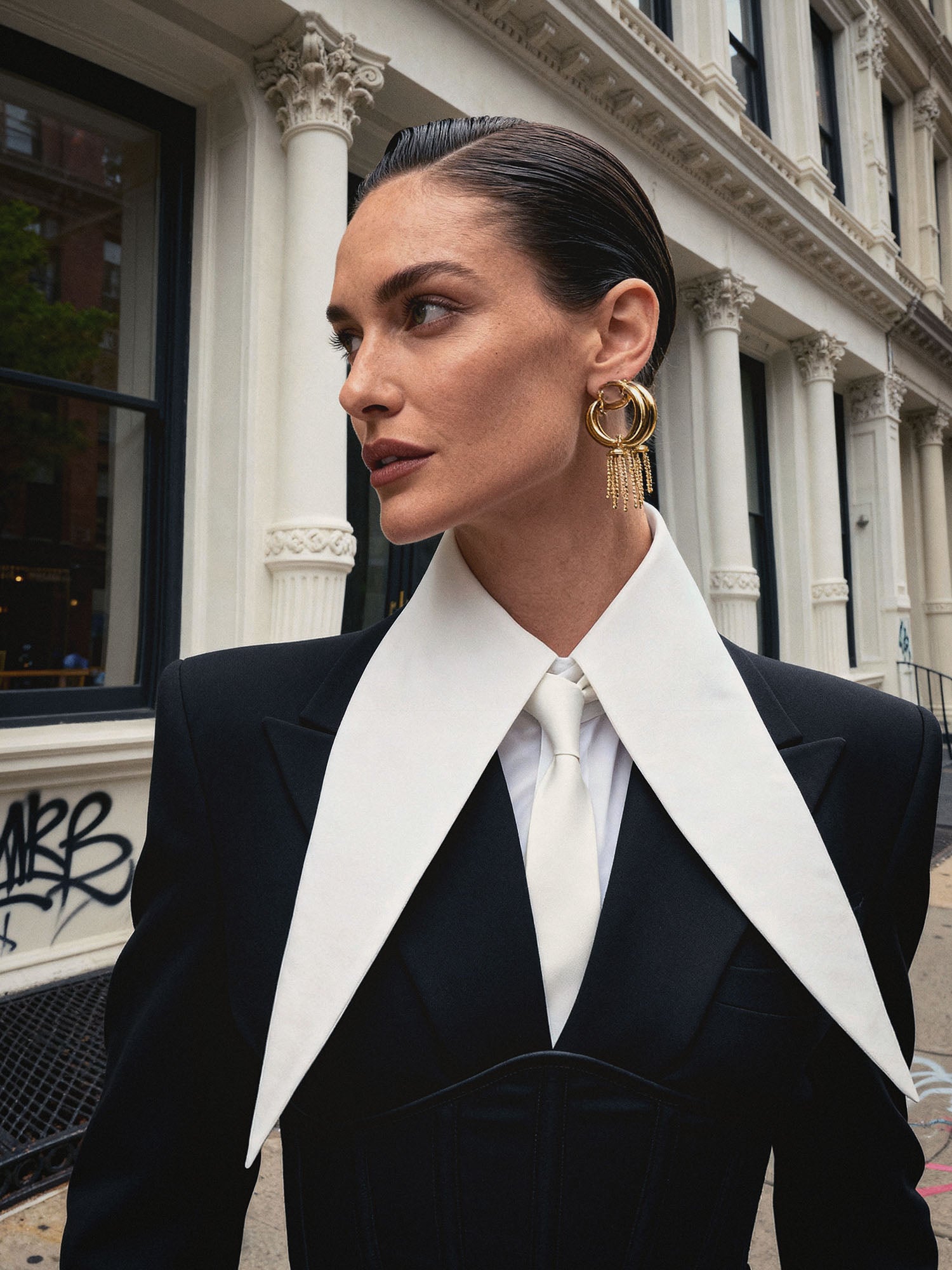 Large Removable Pointy Collar