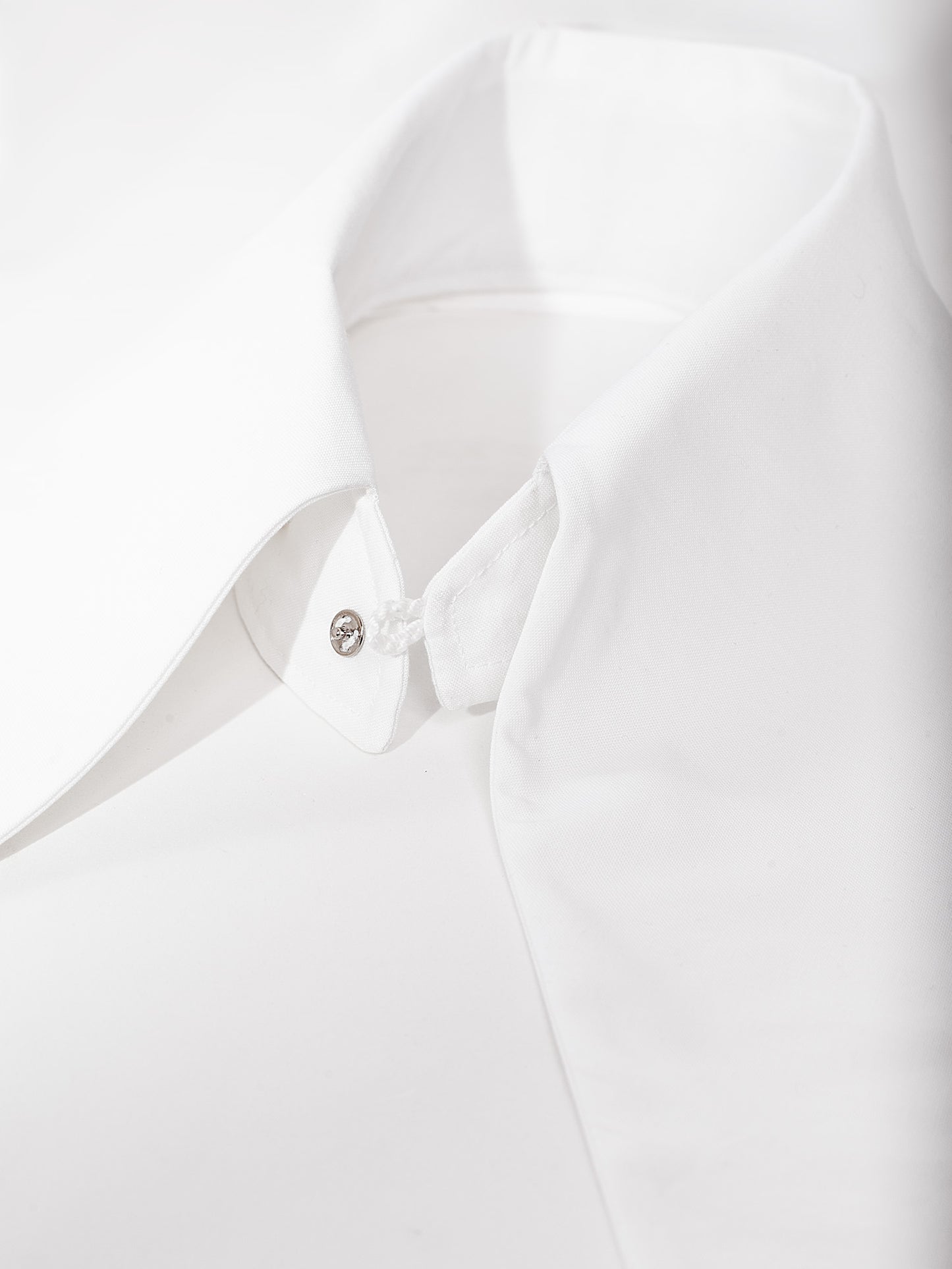 Large Removable Pointy Collar